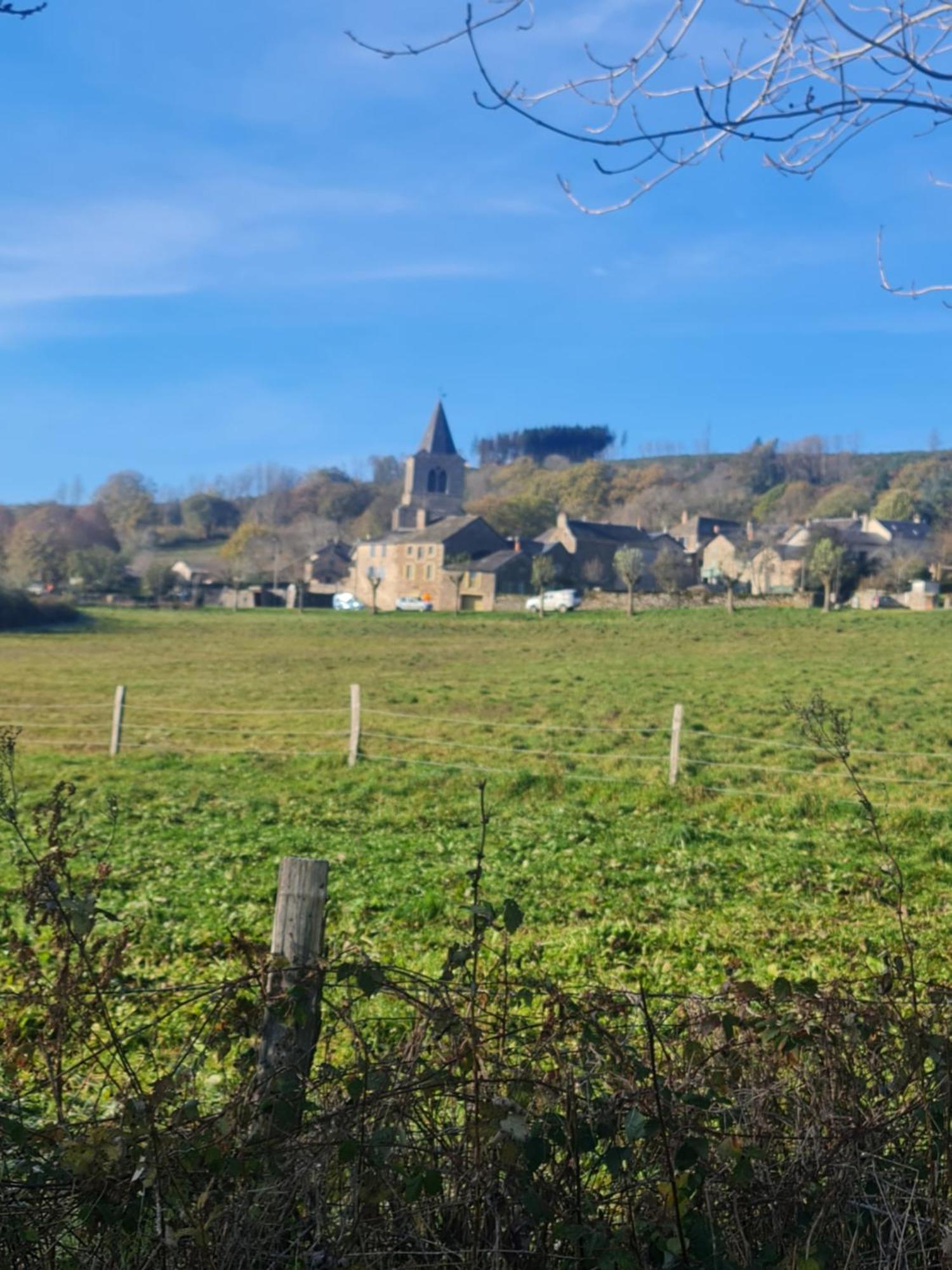 Maison De Village Estalane Castelnau-Pégayrols Extérieur photo